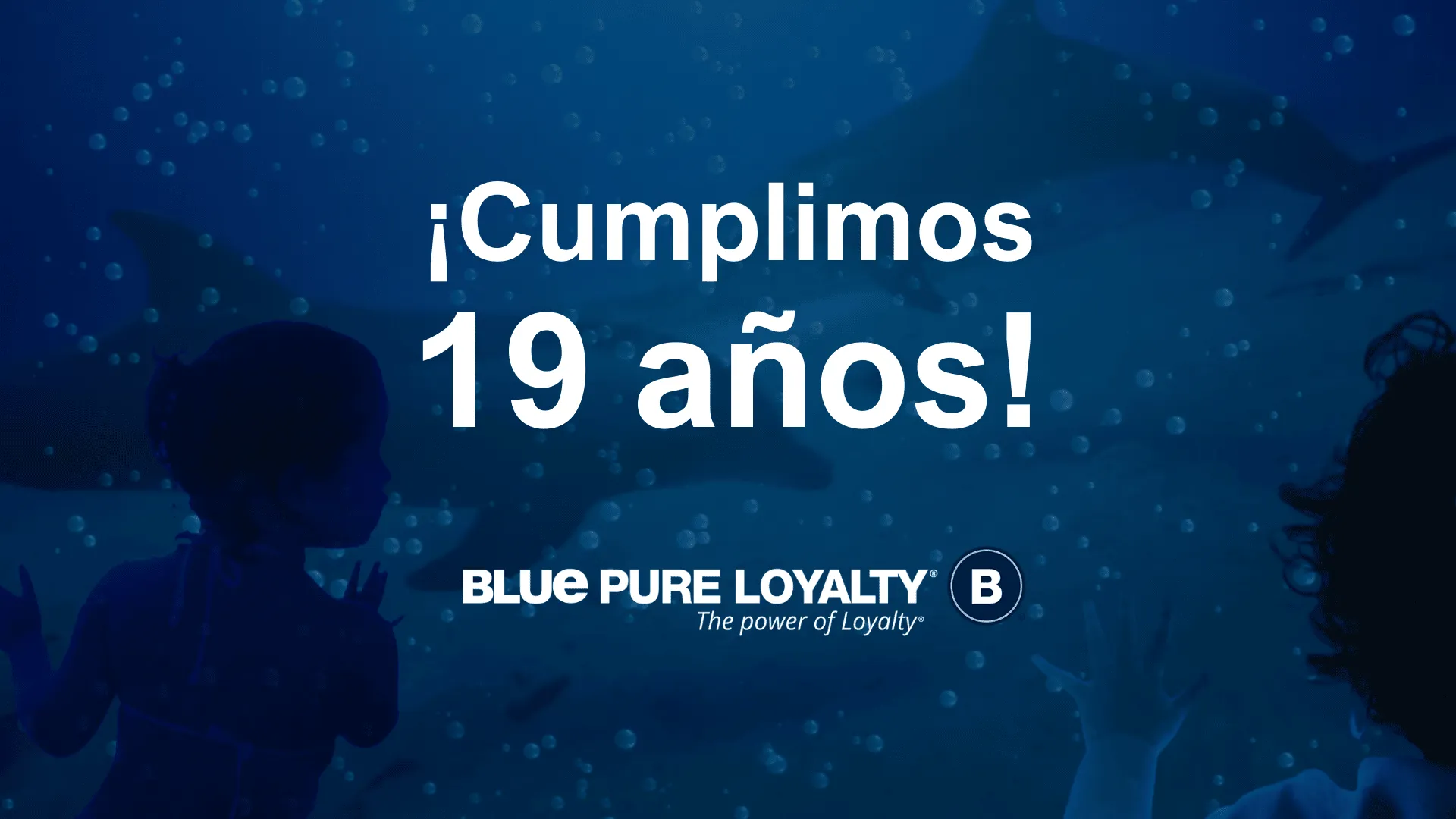 ¡Celebramos 19 años de lealtad y excelencia a la vanguardia de la innovación!
